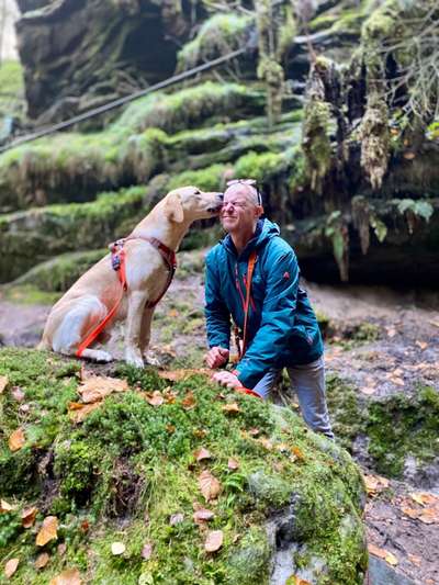 Euer schönstes Bild mit eurem Hund gemeinsam!-Beitrag-Bild