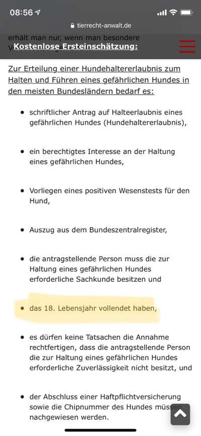 Rassismus bei Hunderassen-Beitrag-Bild