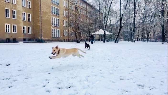 Zeigt euer coolstes winteroutfit-Beitrag-Bild