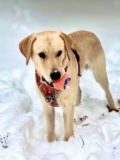 Rollendes Spielzeug ohne verschluck Gefahr?-Beitrag-Bild