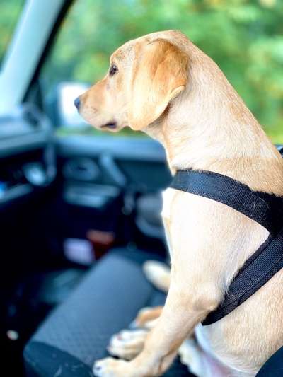 CHALLENGE NR. 18 - ON TOUR-Beitrag-Bild