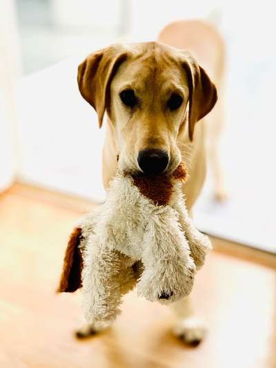 Lieblingsbild :D-Beitrag-Bild