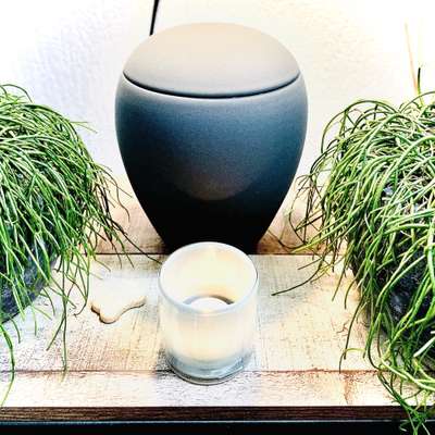 Wann ist es Zeit, sich zu verabschieden?-Beitrag-Bild