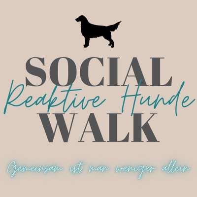 Hundetreffen-Social Walk (reaktive Hunde)-Bild