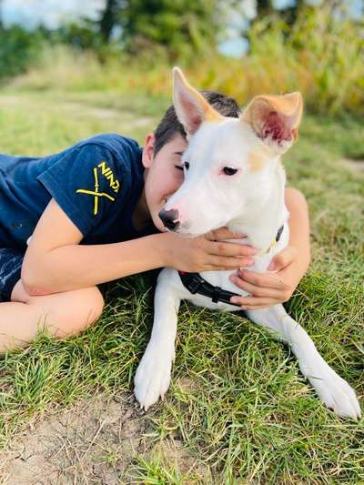 Lieblingsbild-Beitrag-Bild