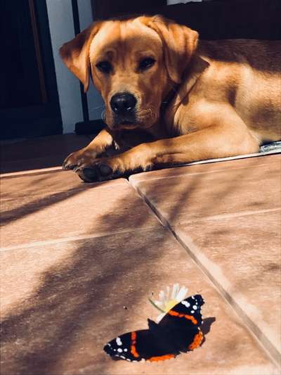 Fotochallenge Nr. 67: Euer Lieblingsbild-Beitrag-Bild