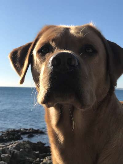 Fotochallange Nr. 57     PORTRÄT.   Beendet!!!!!!!!-Beitrag-Bild