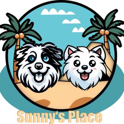 Hundeschulen-Sunny's Place - Hundetraining und Auslastung mit Gefühl 💚-Bild