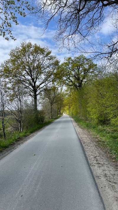 Hundeauslaufgebiet-Durch Felder und Dorf-Bild