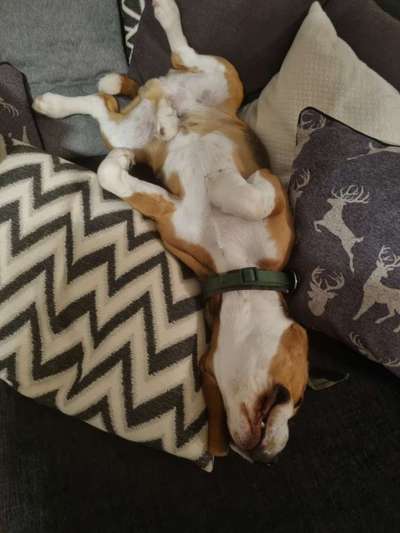 Ratespaß geht weiter-Beitrag-Bild