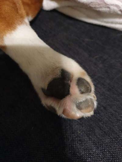 Blick fürs Detail!-Beitrag-Bild