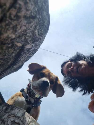 Dogorama Photo Challenge - Selfie Time!-Beitrag-Bild