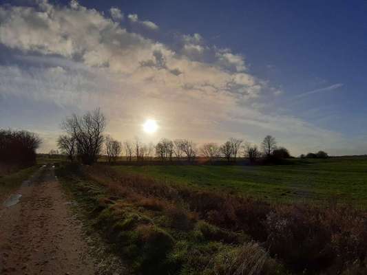 Die wunderschöne Welt mit Hund.-Beitrag-Bild