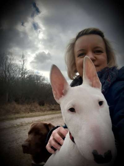 Hundmenschfotos-Beitrag-Bild