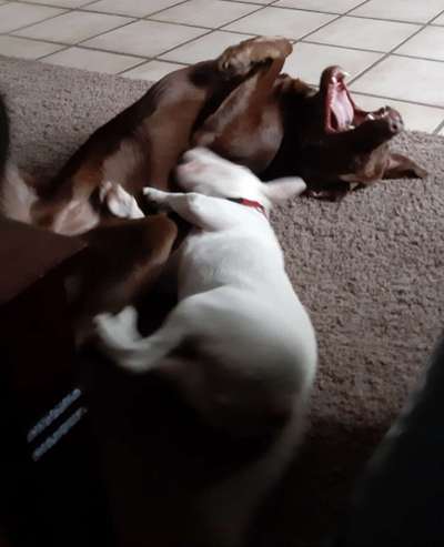 Un...scharf Bilder-Beitrag-Bild