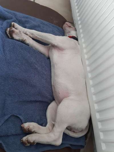 CHALLENGE NR. 34 - Liege-/Schlafpositionen-Beitrag-Bild