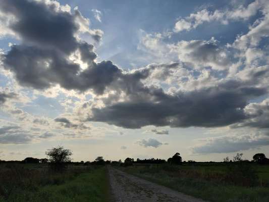 Die wunderschöne Welt mit Hund.-Beitrag-Bild