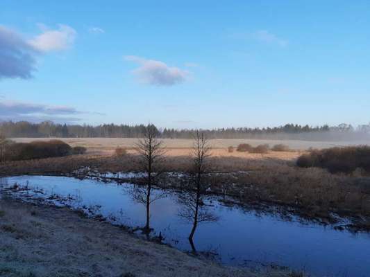 Hund und Natur-Beitrag-Bild