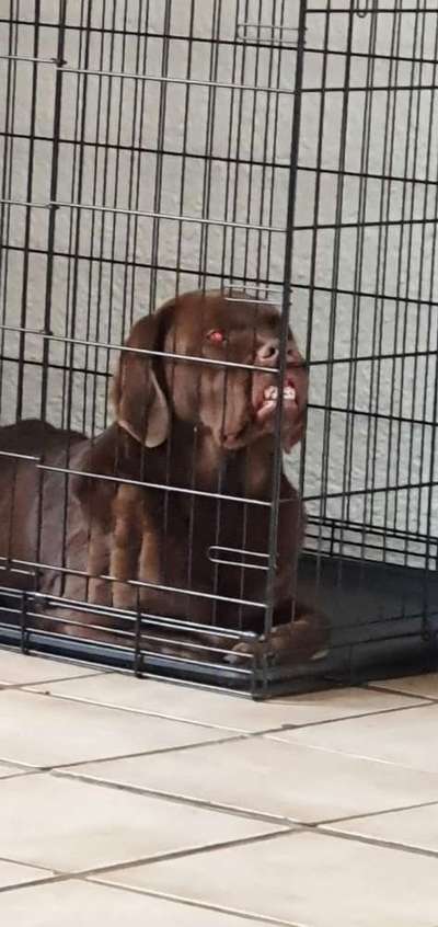 Hier ist der Spaßthread. Zum Schmunzeln und Kaputtlachen-Beitrag-Bild