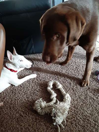 LUSTIGE FOTOS! WER KANN MITHALTEN?-Beitrag-Bild