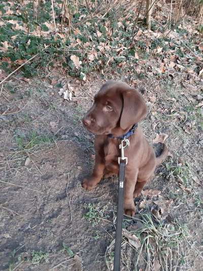 Unser Nachwuchs-Beitrag-Bild