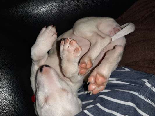 Unser Nachwuchs-Beitrag-Bild