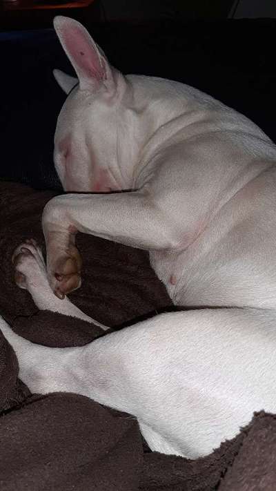 FOTO-Challenge  NR. 91: Die pure Entspannung-Beitrag-Bild