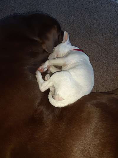 Fotochallenge liebespaare-Beitrag-Bild