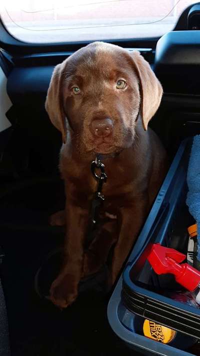 Fotochallange Nummer 5-Beitrag-Bild