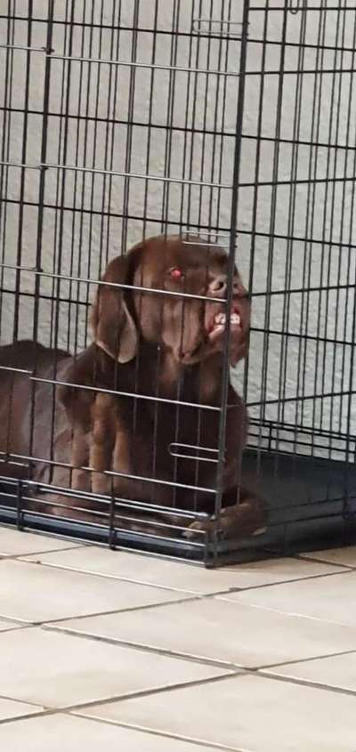 Hier ist der Spaßthread. Zum Schmunzeln und Kaputtlachen-Beitrag-Bild