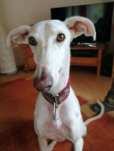 Lieblings Schnappschuss?-Beitrag-Bild