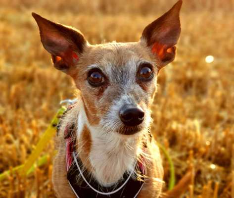 Lieblingsbild :D-Beitrag-Bild