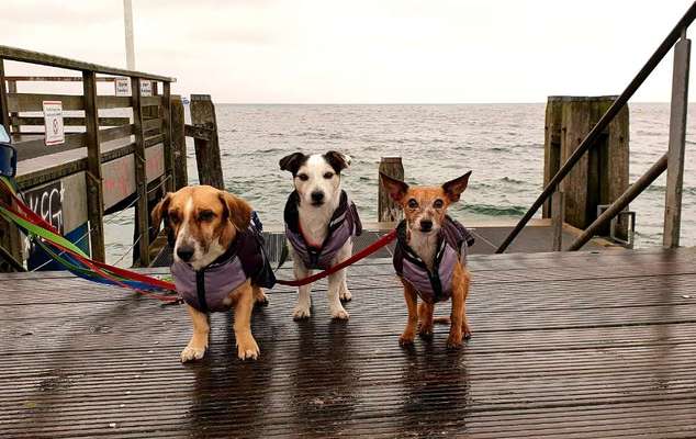 Süße Winteroutfits 😍-Beitrag-Bild