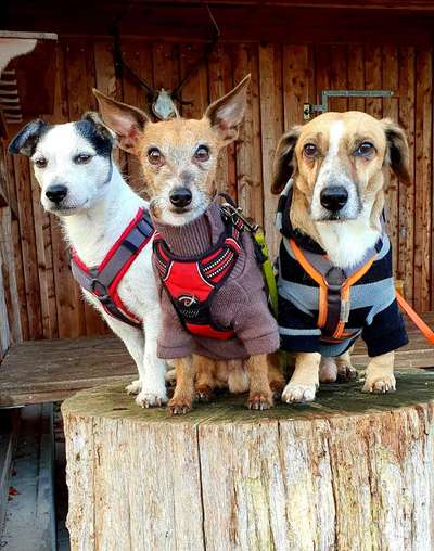 Süße Winteroutfits 😍-Beitrag-Bild