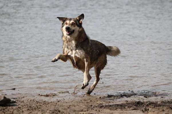 Lieblings Fotos-Beitrag-Bild