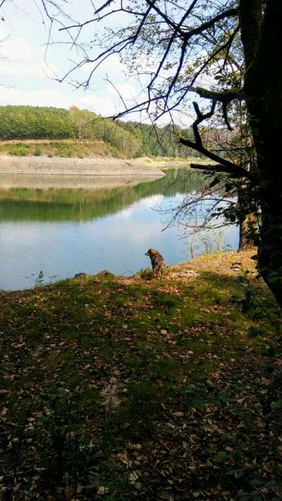 Fotochallenge No. 26                                     Wald und Wiese-Beitrag-Bild