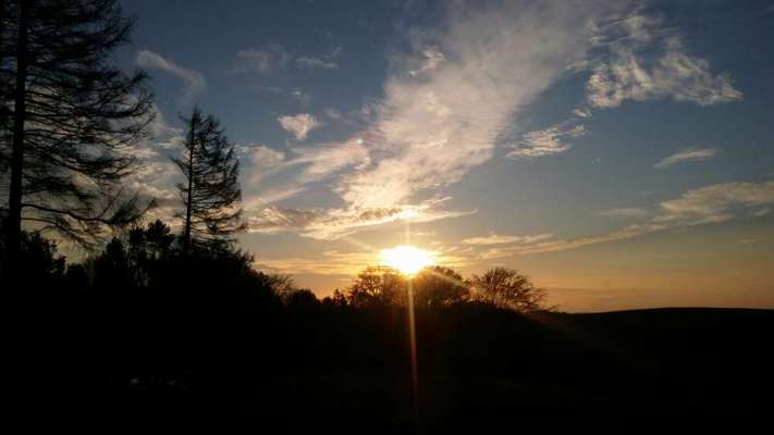 Die wunderschöne Welt mit Hund.-Beitrag-Bild