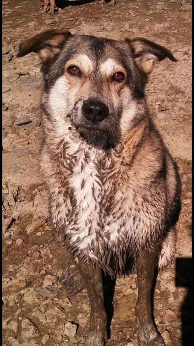 Zeigt mir doch mal eure Dreckspätze-Beitrag-Bild