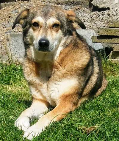 Fotochallange Nr. 57     PORTRÄT.   Beendet!!!!!!!!-Beitrag-Bild