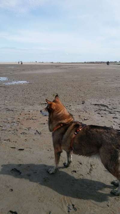 Fotochallenge Nr 50 Vom Winde verweht-Beitrag-Bild