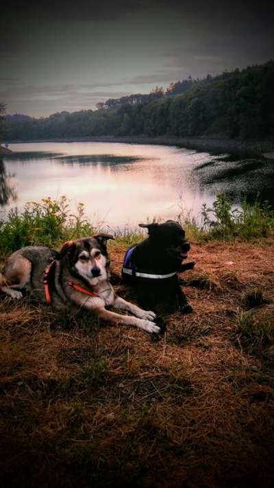 Challenge 30  Freundschaft-Beitrag-Bild