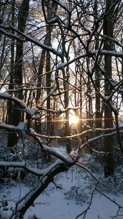 Die wunderschöne Welt mit Hund.-Beitrag-Bild