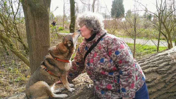 Küsschenbilder-Beitrag-Bild