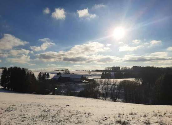 Die wunderschöne Welt mit Hund.-Beitrag-Bild