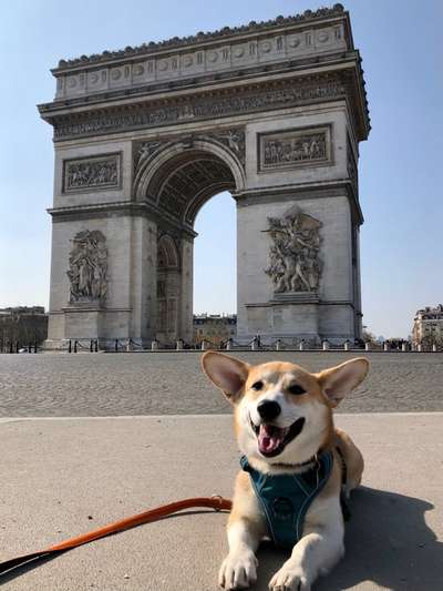 Dogorama Photo Challenge - Tierischer Urlaub-Beitrag-Bild