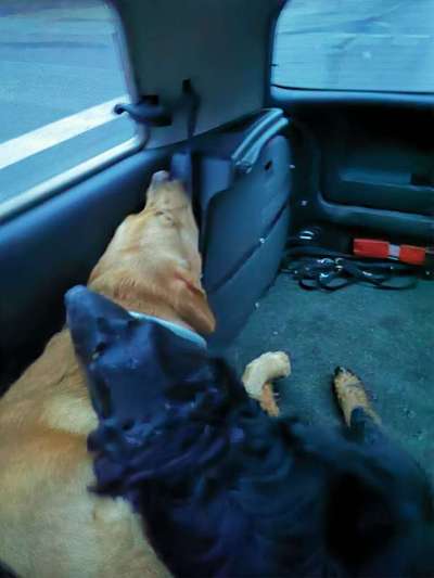 Die unbequemsten und lustigsten Schlafpositionen-Beitrag-Bild