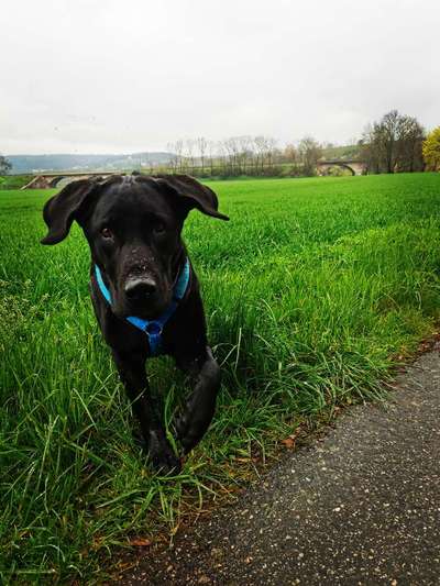 Farben Fotochallenge Thema ,,Grün"-Beitrag-Bild