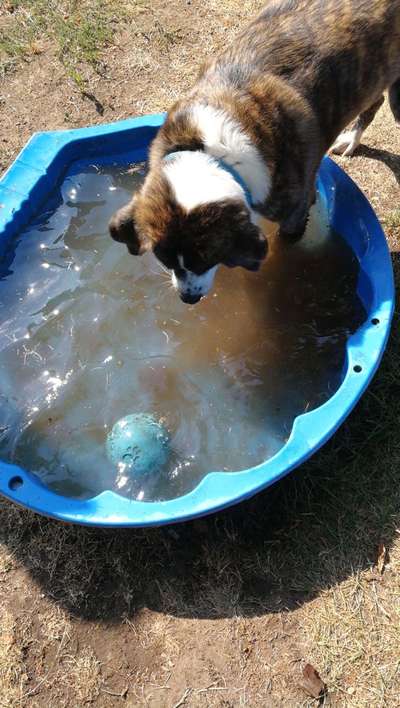 Fotochallenge 27-Beitrag-Bild