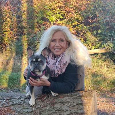 Hundetreffen-Spaziergänge in unserer Nähe Gieboldehausen