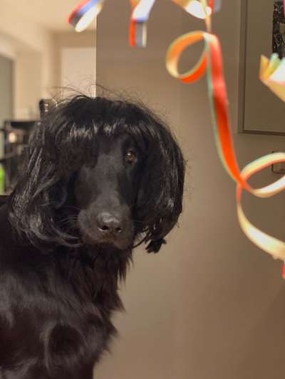 Handy-Foto-Challange Nr.9-Beitrag-Bild